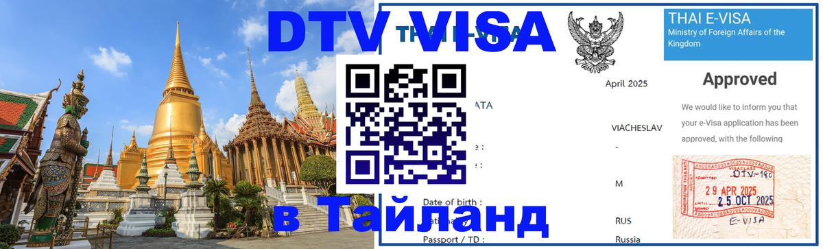 Оформление DTV визы под ключ: стоимость и тарифы, только загранпаспорт - Муром 